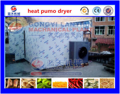 Cassava chips dryer machine