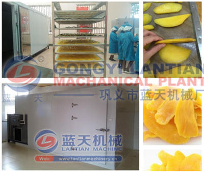 Cassava chips dryer machine